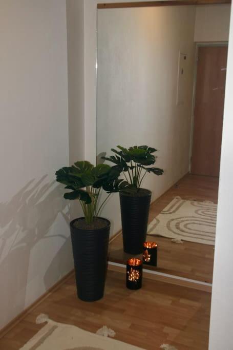 Jasmine Apartment - Free Parking - City Center - Skibus - Tatralandia 5Km Ліптовський Мікулаш Екстер'єр фото